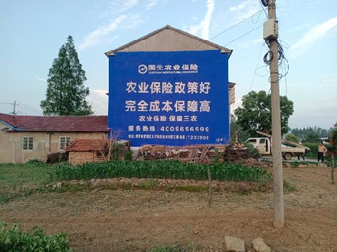 大方墙体广告为何受追捧？